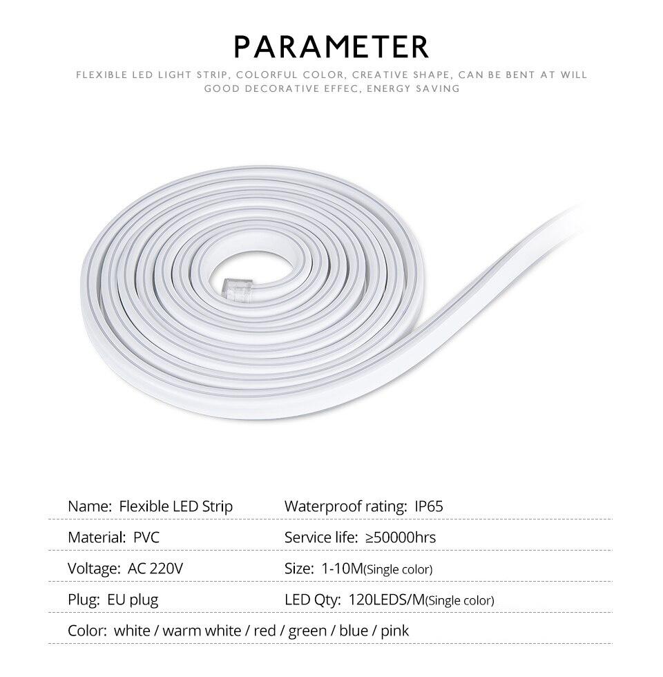 Waterproof Flexible LED Neon Strip Light 220V Guide 1