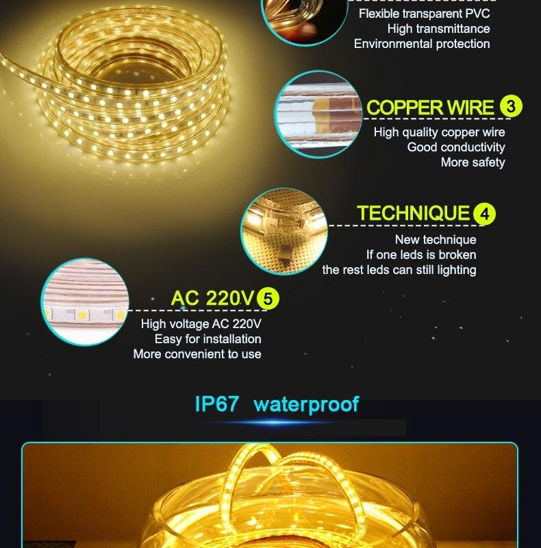 Waterproof Long Lasting LED RGB Strip Light Specification