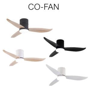 Co-Fan Rito - 3