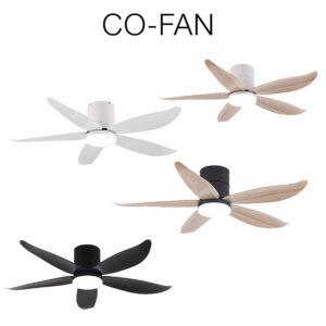 Co-Fan Rito -5