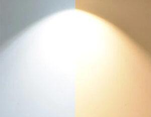 Flood Light 2