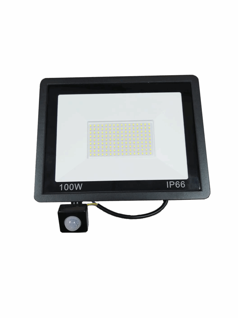 Flood Light 23
