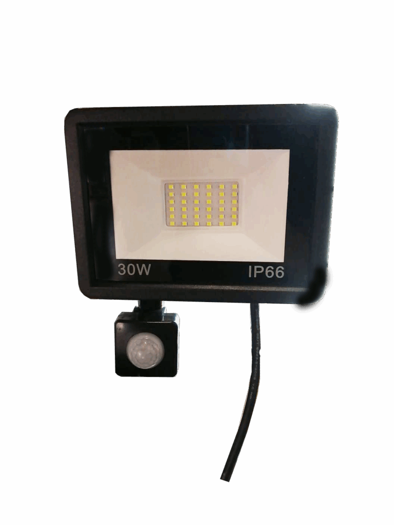 Flood Light 21